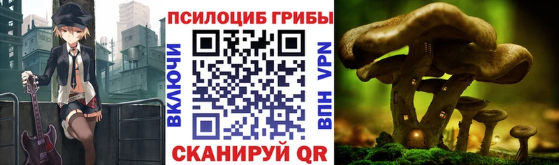 Псилоцибиновые грибы MAGIC MUSHROOMS  как найти наркотики  Нижняя Тура 